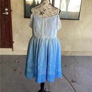 Women’s Cinderella inspired dress